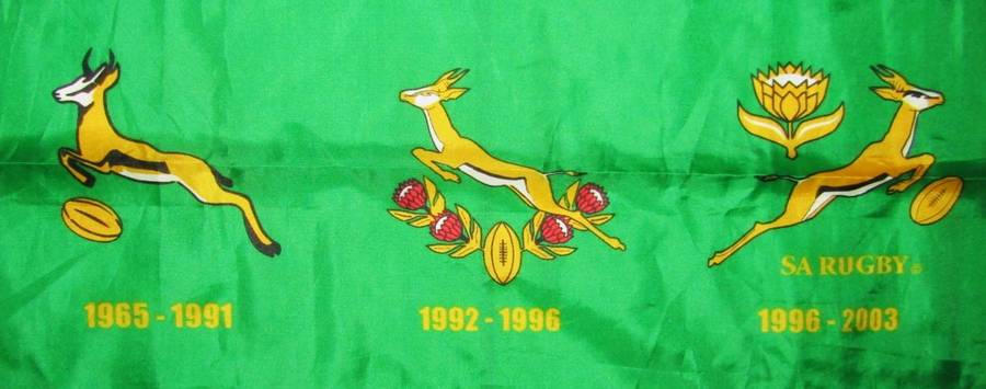 Large History of Springbok Rugby Flag