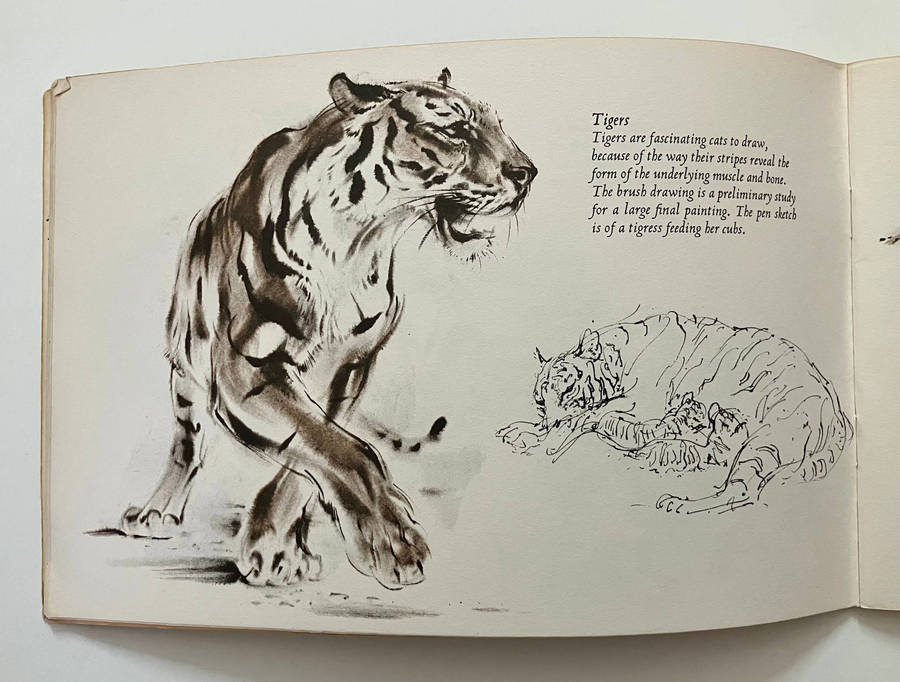 Animals Through the Eyes of an Artist - Ralph Thompson. Softcover, 1st Ed. 1970