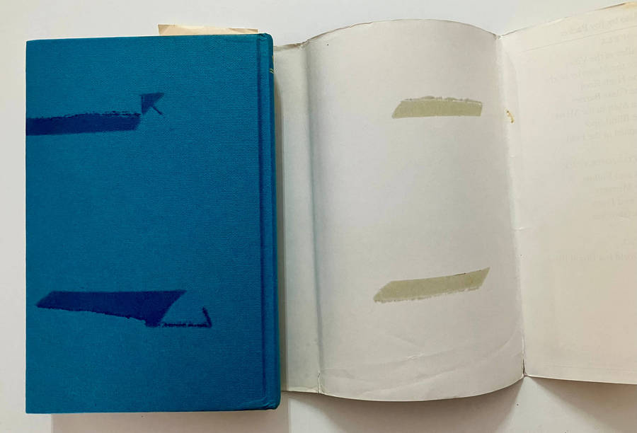 Veronica - Joy Packer. Hardcover w dj, 1st Ed 1970