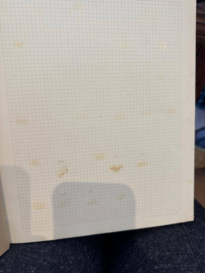 Spingback stamp album with loose pages