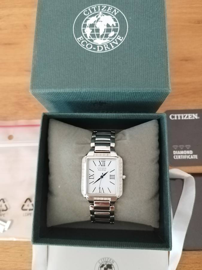 Citizen Ciena Ladies Eco Drive Watch