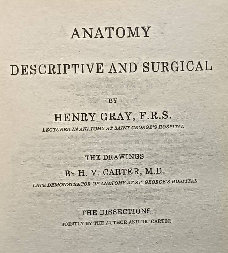 Gray's Anatomy - Henry Gray F.R.S. - Softcover - 768 pages
