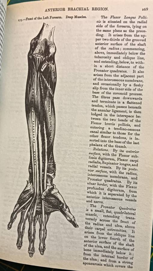 Gray's Anatomy - Henry Gray F.R.S. - Softcover - 768 pages