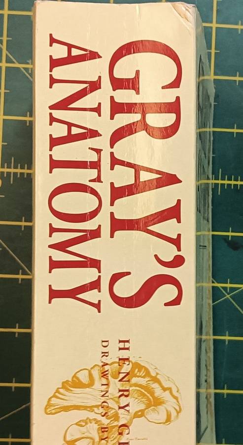 Gray's Anatomy - Henry Gray F.R.S. - Softcover - 768 pages
