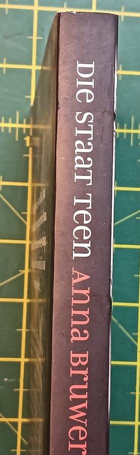 Die Staat Teen Anna Bruwer - Anchien Troskie as Elbie Lotter - Softcover - 218 pages