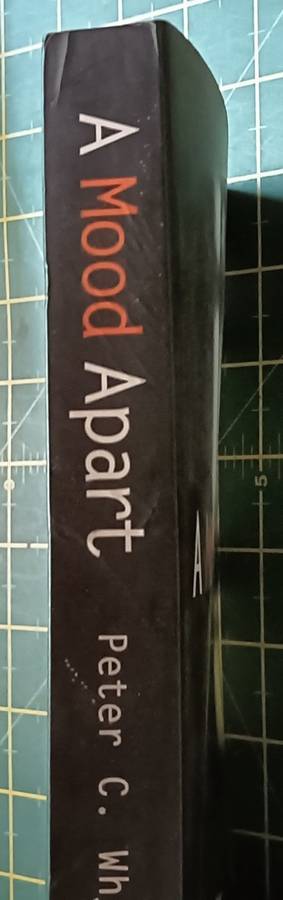 A Mood Apart - Peter C. Whybrow - Softcover - 363 pages