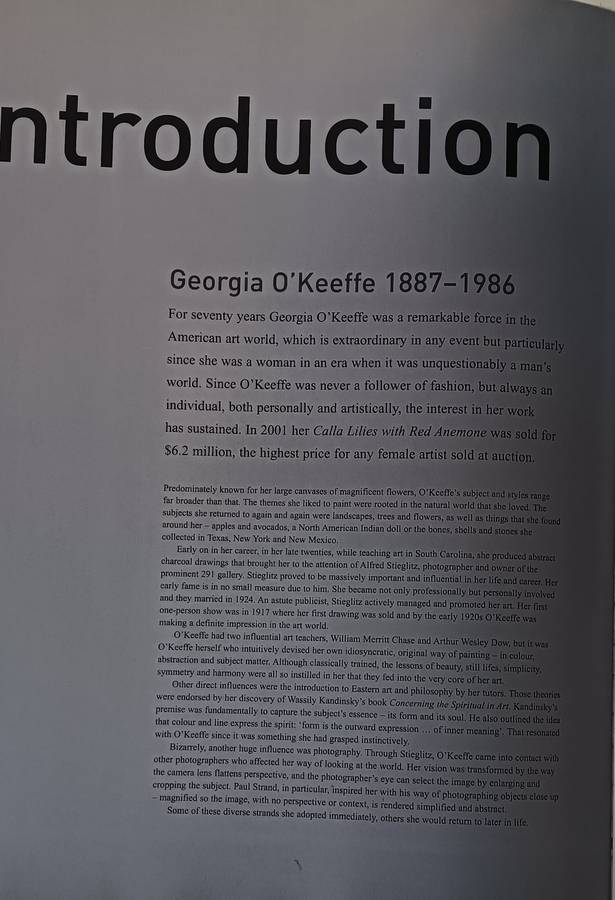 Georgia O'Keeffe - An American Perspective - Lauris Morgan-Griffiths - Hardcover - 175 pages