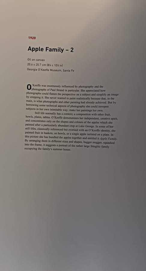 Georgia O'Keeffe - An American Perspective - Lauris Morgan-Griffiths - Hardcover - 175 pages