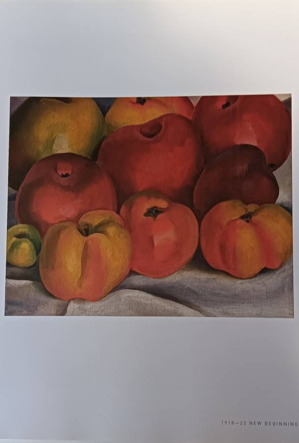 Georgia O'Keeffe - An American Perspective - Lauris Morgan-Griffiths - Hardcover - 175 pages