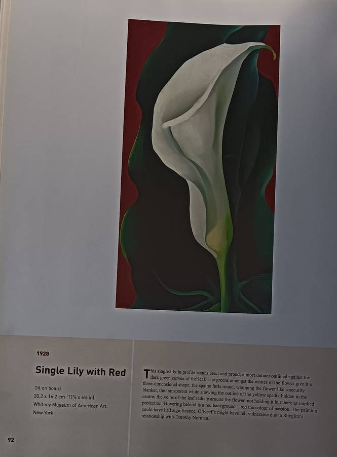 Georgia O'Keeffe - An American Perspective - Lauris Morgan-Griffiths - Hardcover - 175 pages