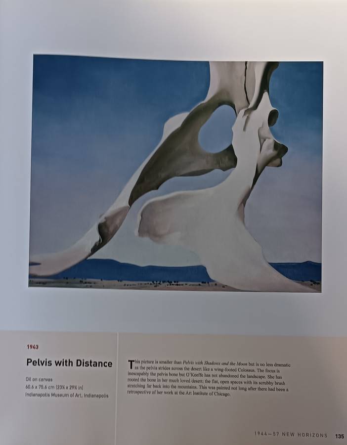 Georgia O'Keeffe - An American Perspective - Lauris Morgan-Griffiths - Hardcover - 175 pages