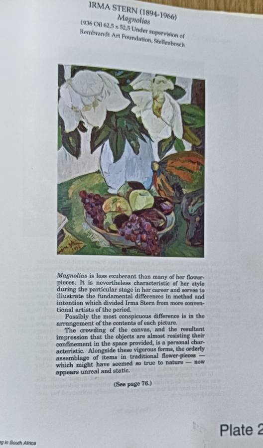 Painting in South Africa - Esme Berman - Hardcover - 395 pages & 99 Colour Plates