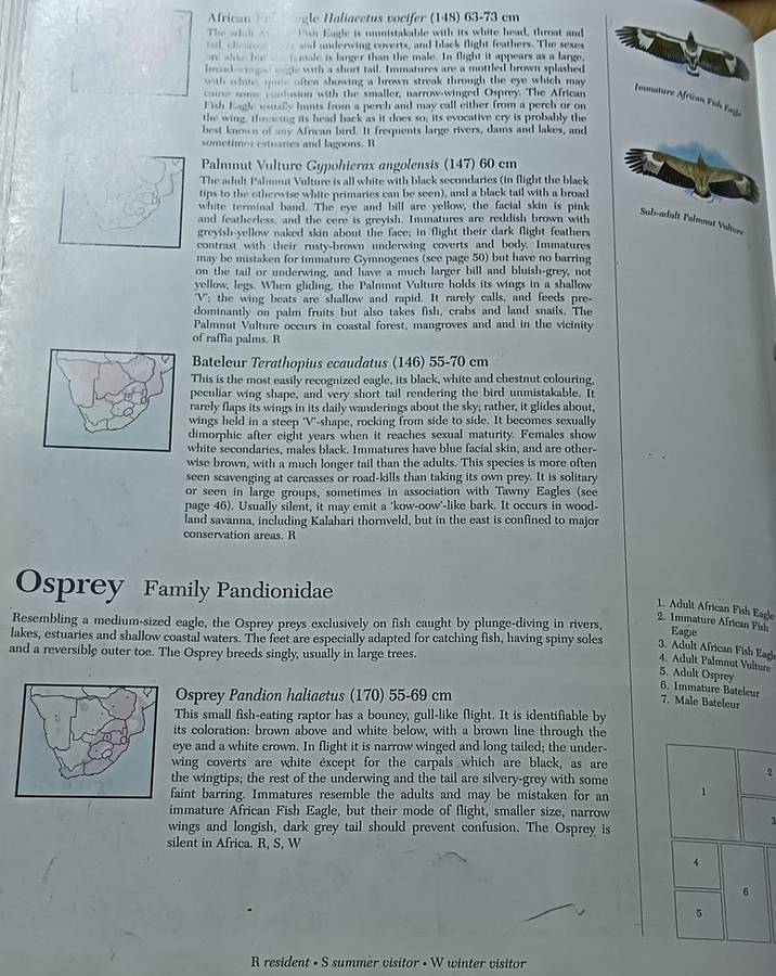 Southern African Birds - A Photographic Guide - Sinclair & Davidson - Hardcover - 304 pages