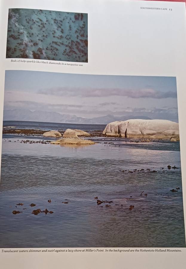 South Africa Magnificent Land - Readers Digest - Hardcover - 256 pages