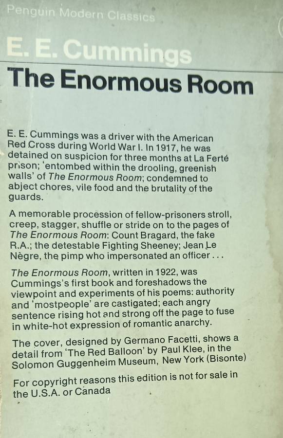 The Enormous Room - E.E. Cummings - Softcover - 269 Pages