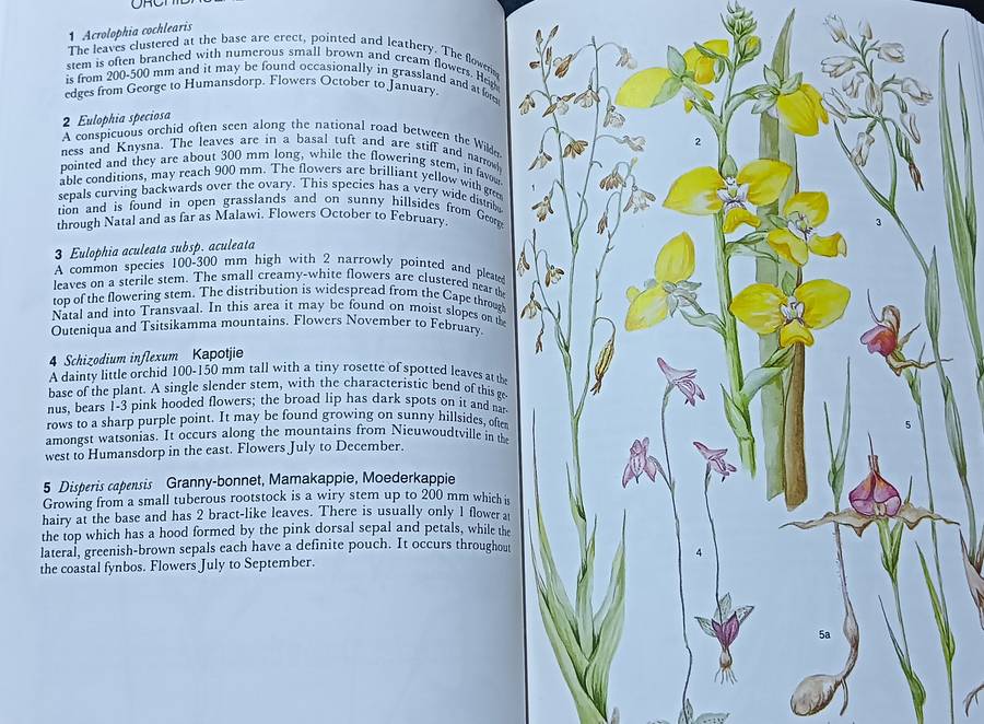 Outeniqua Tsitsikamma & Eastern Little Karoo - Audrey Moriarty - Softcover - 206 pages