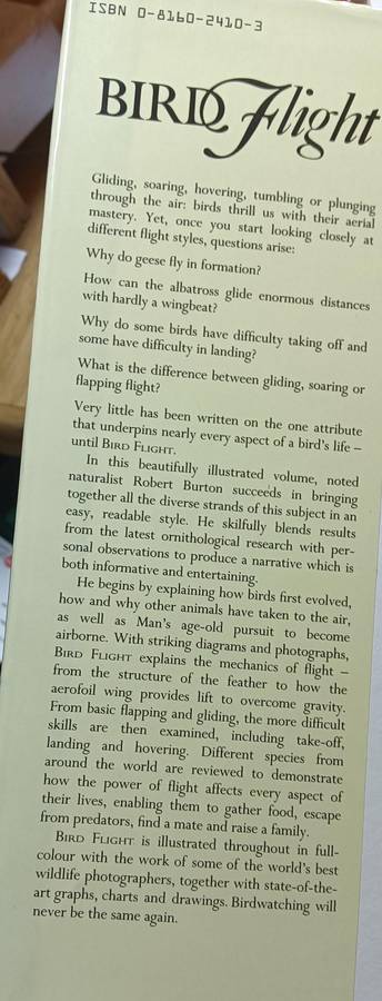 Bird Flight - Robert Burton - Hardcover - 160 pages
