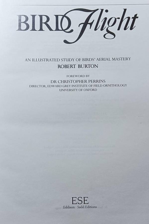 Bird Flight - Robert Burton - Hardcover - 160 pages