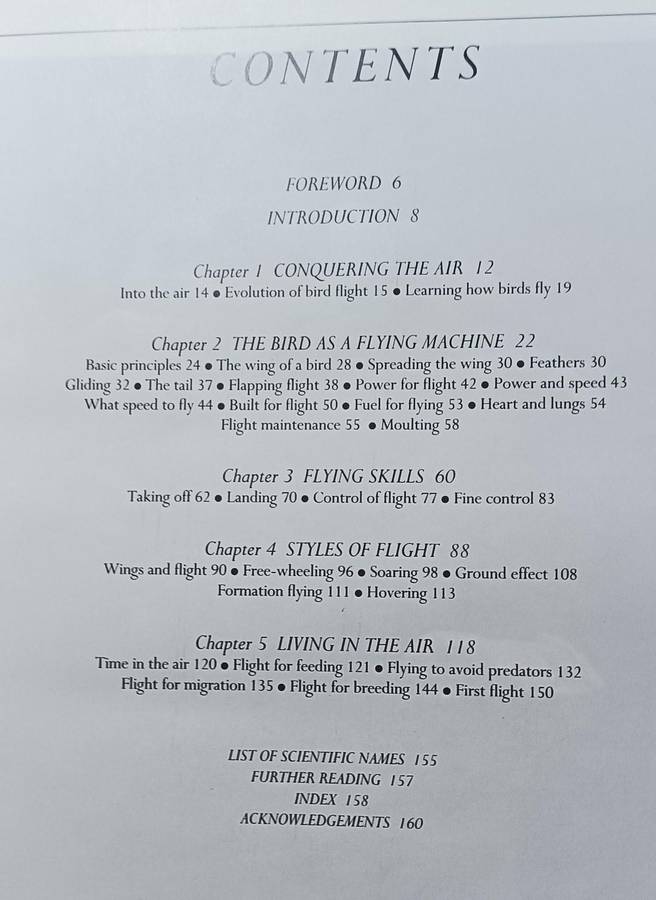 Bird Flight - Robert Burton - Hardcover - 160 pages