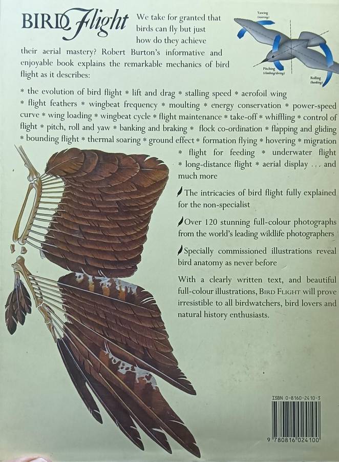 Bird Flight - Robert Burton - Hardcover - 160 pages