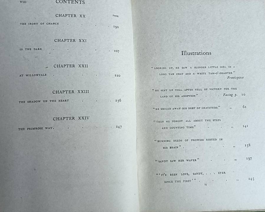 Sandy - Alice Hegan Rice - Hardcover - 254 Pages