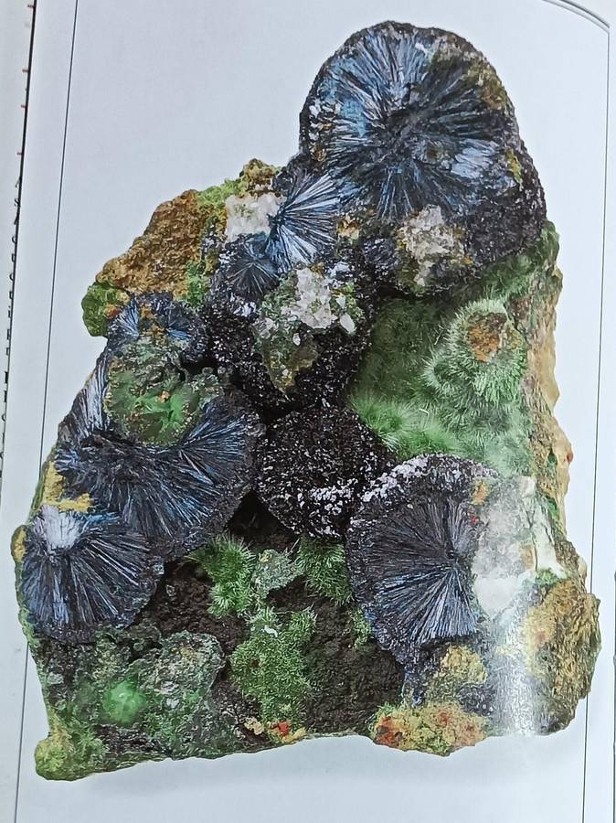 Eyewitness Handbooks Rocks And Minerals - Chris Pellant - Softcover - 256 Pages
