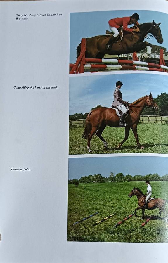 The Country Life Book of the Horse - Robert Owen (Editor) - Hardcover - 231 pages