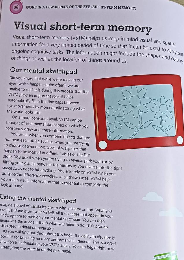 Max Your Memory - Dr Pascale Michelon - Softcover -192 pages - A DK Publication