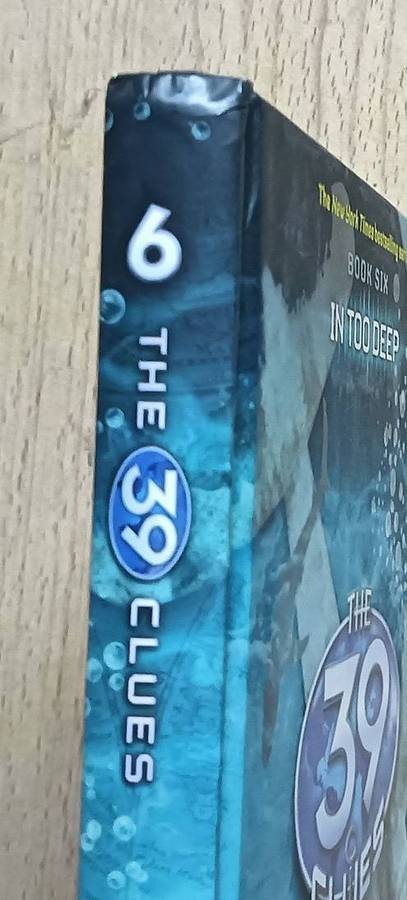The 39 Clues - In too Deep - Book 6 - Jude Watson - Hardcover - 206 pages