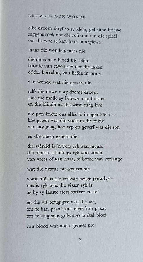Die Huis van die Dowe - Breyten Breytenbach - Softcover -  104 pages