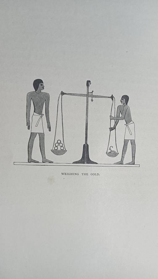 Light From the Land of the Sphinx - H. Forbes Witherby - Hardcover - 320 pages (1896) Rare Book