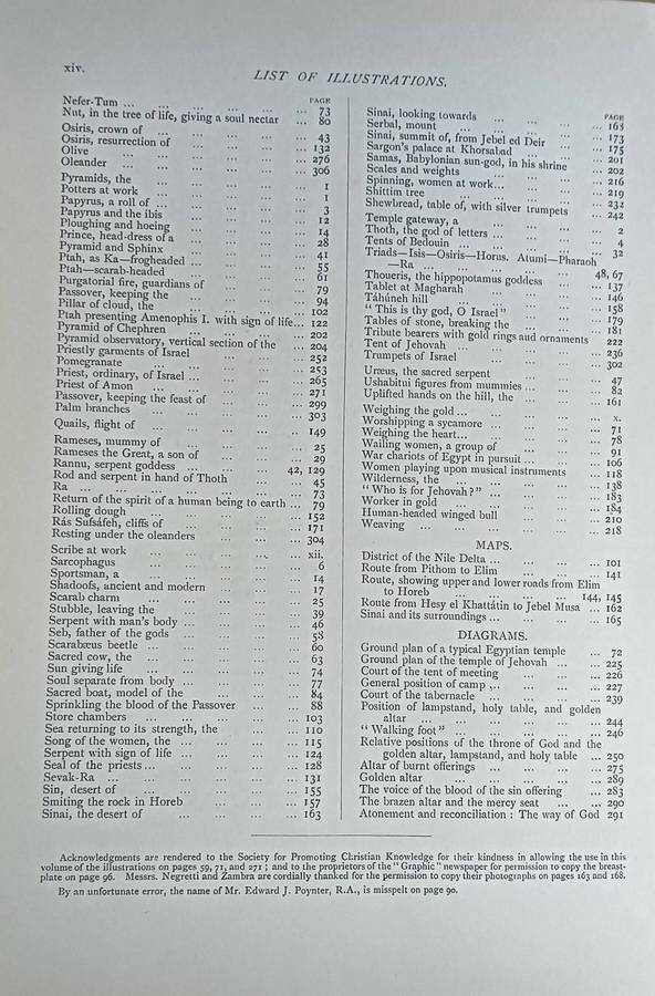 Light From the Land of the Sphinx - H. Forbes Witherby - Hardcover - 320 pages (1896) Rare Book