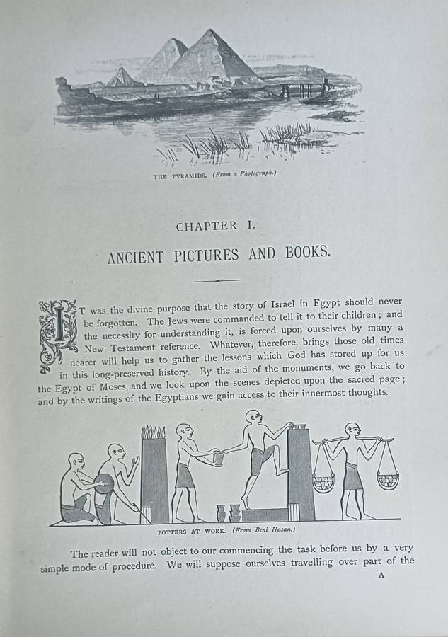 Light From the Land of the Sphinx - H. Forbes Witherby - Hardcover - 320 pages (1896) Rare Book