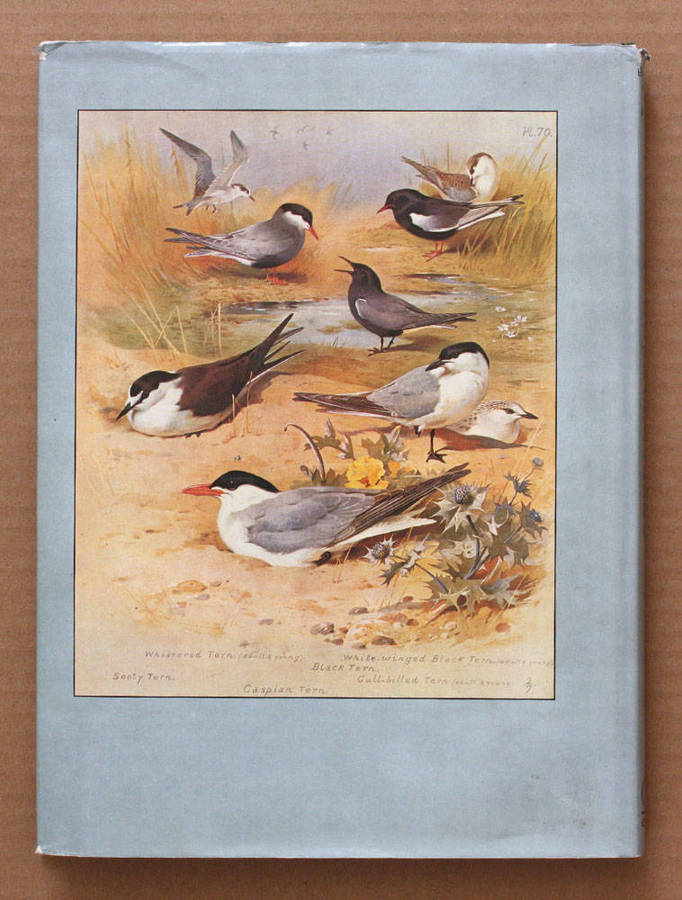 Birds of Marsh and Shore - The Orbis Encyclopedia of Birds of Britain and Europe Vol. 3 John Gooders