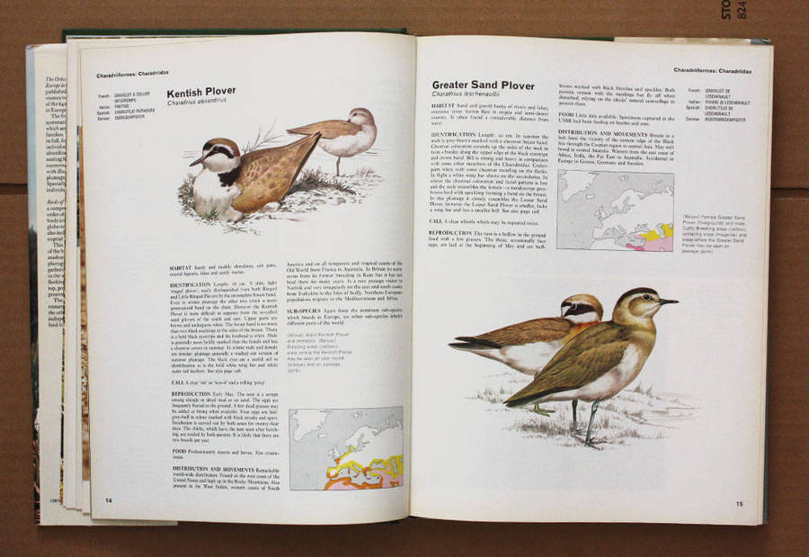 Birds of Marsh and Shore - The Orbis Encyclopedia of Birds of Britain and Europe Vol. 3 John Gooders