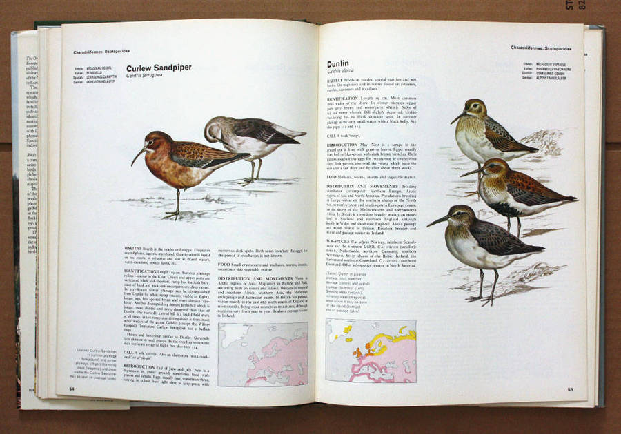 Birds of Marsh and Shore - The Orbis Encyclopedia of Birds of Britain and Europe Vol. 3 John Gooders