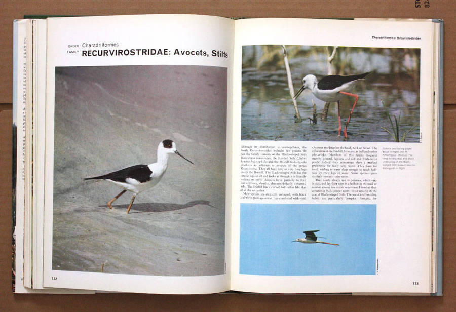 Birds of Marsh and Shore - The Orbis Encyclopedia of Birds of Britain and Europe Vol. 3 John Gooders