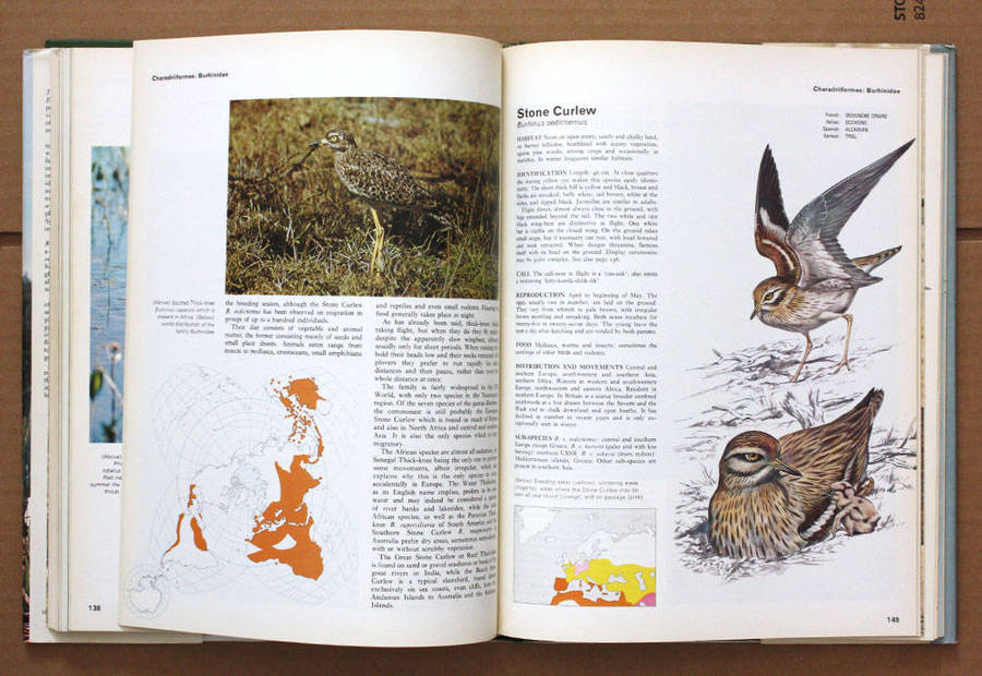 Birds of Marsh and Shore - The Orbis Encyclopedia of Birds of Britain and Europe Vol. 3 John Gooders
