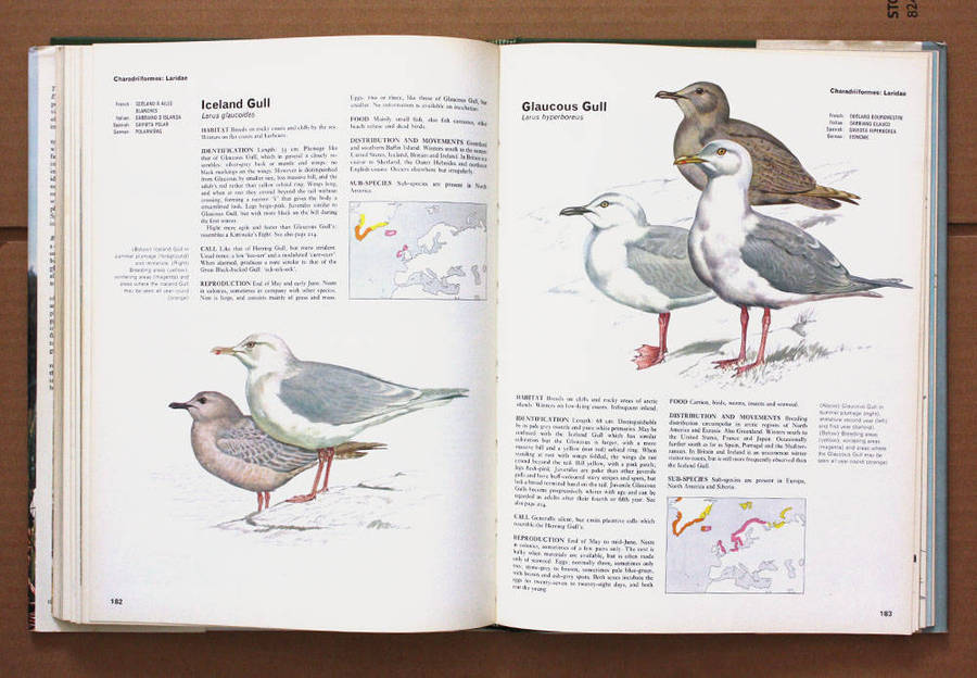 Birds of Marsh and Shore - The Orbis Encyclopedia of Birds of Britain and Europe Vol. 3 John Gooders