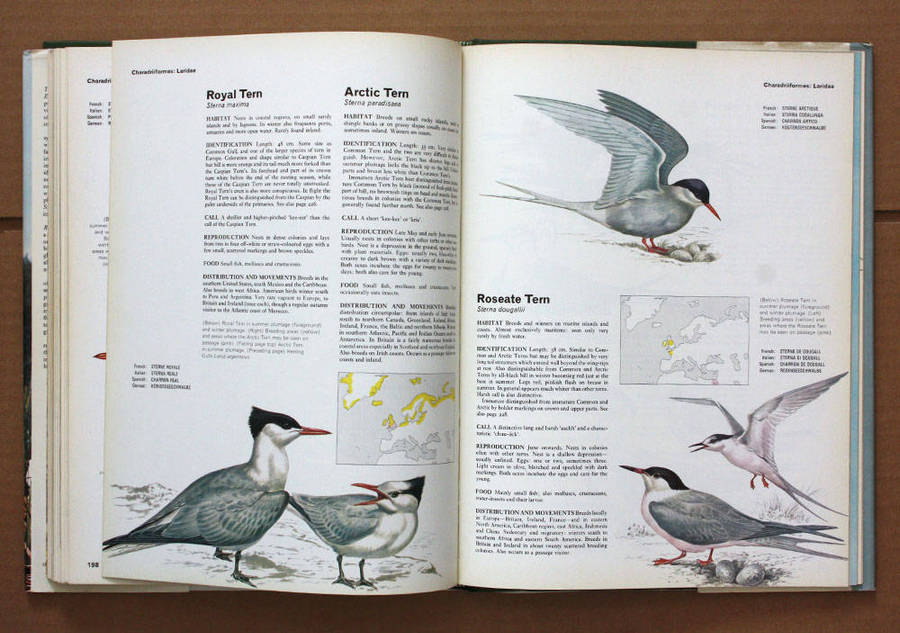 Birds of Marsh and Shore - The Orbis Encyclopedia of Birds of Britain and Europe Vol. 3 John Gooders