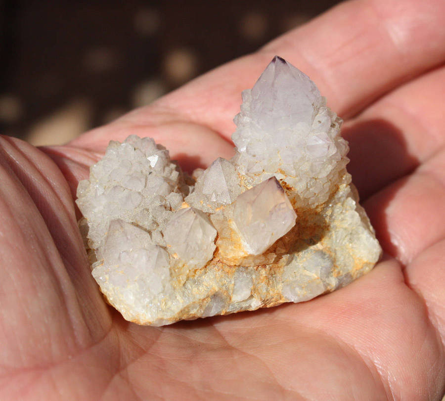 Cactus Quartz Spirit Quartz  Magaliesberg Mountains South Africa