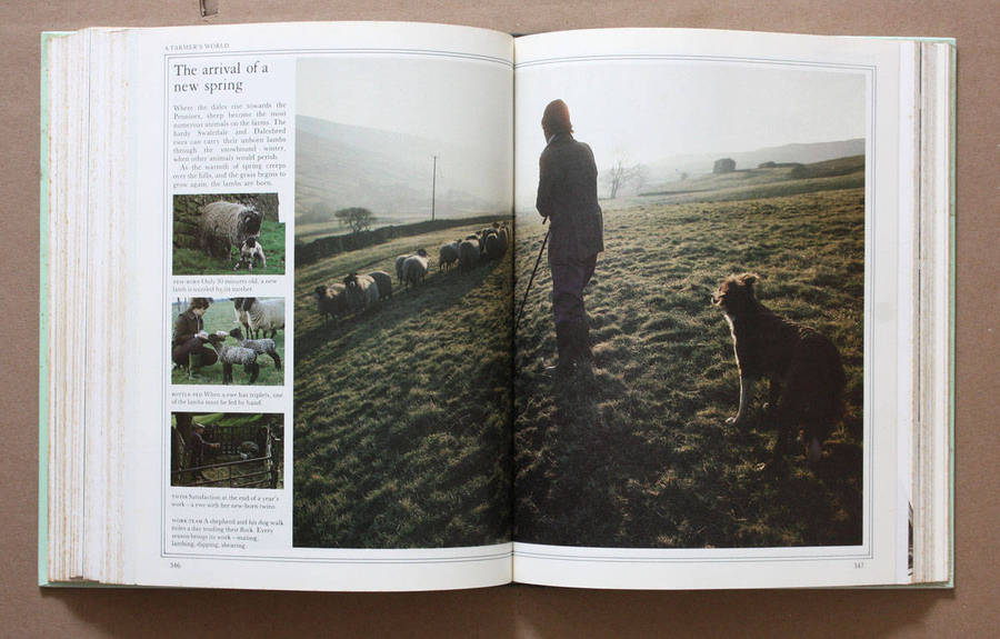 The Best of James Herriot - Favourite memories of a Country Vet - James Herriot