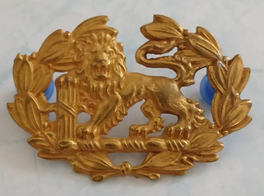 SA Navy Warrant Officer's Badge