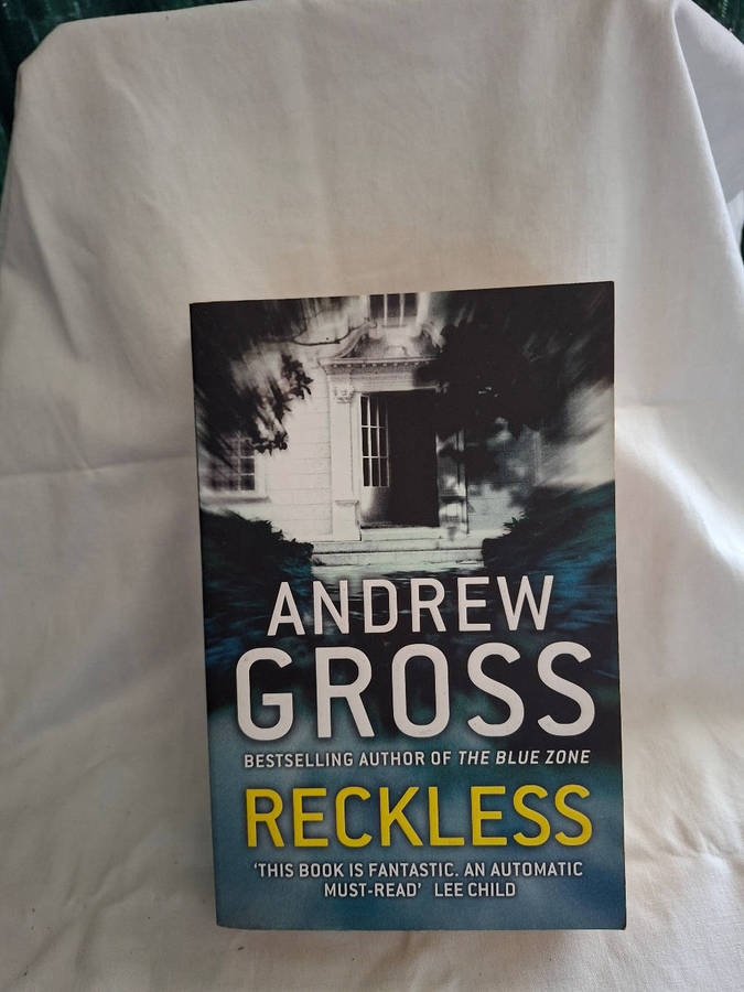 Andrew Gross Reckless