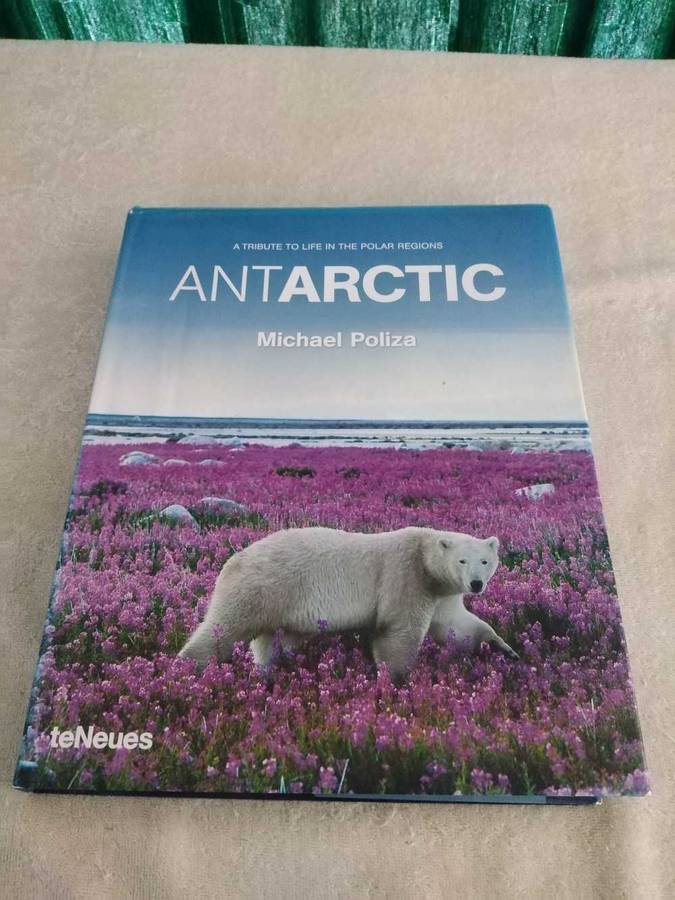 Michael Poliza Antarctic