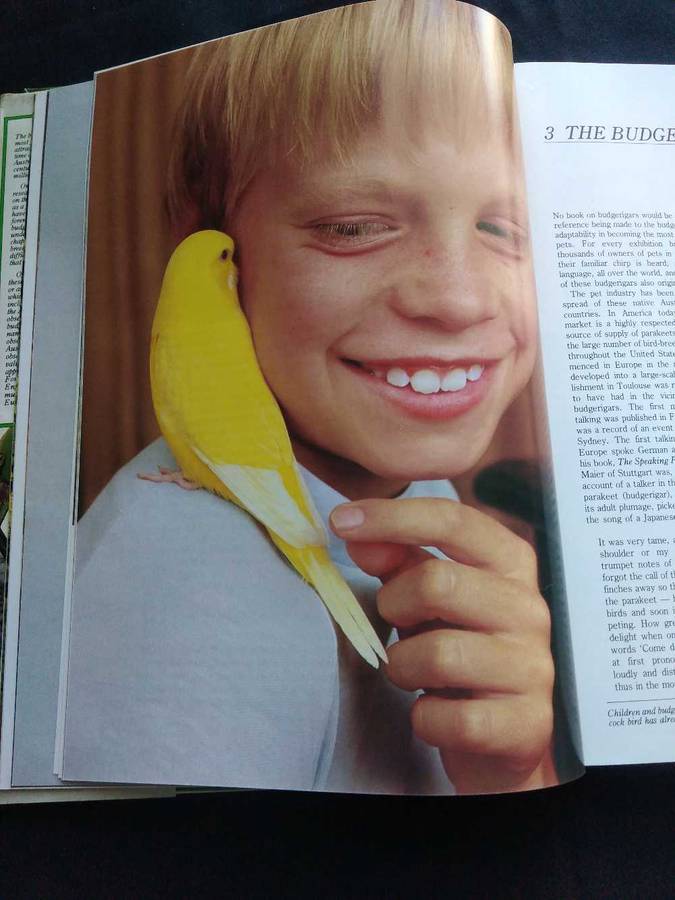 John Scoble The Complete Book of Budgerigars