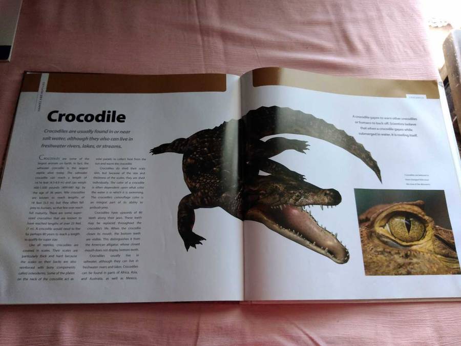 Snakes & other Reptiles Deborah M. Alexander