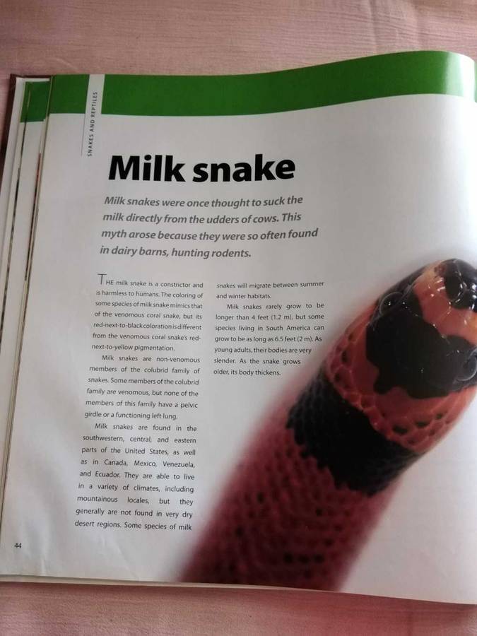 Snakes & other Reptiles Deborah M. Alexander