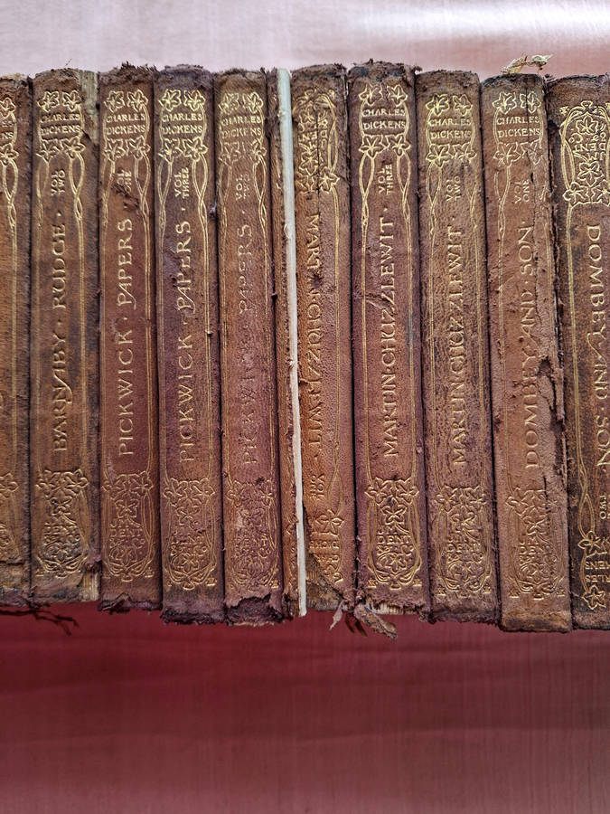 The Works of Charles Dickens