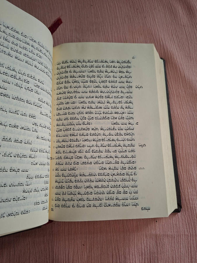 Hebrew Bible x2